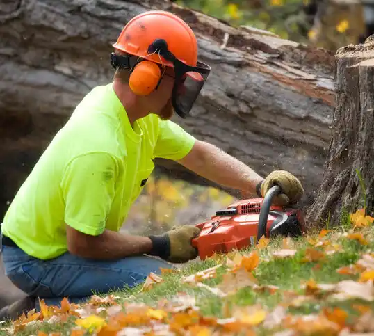 tree services Naylor